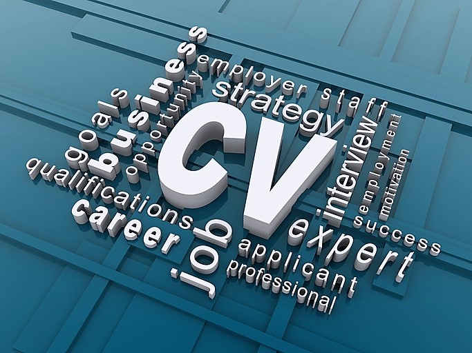 How to write a professional summary on a CV